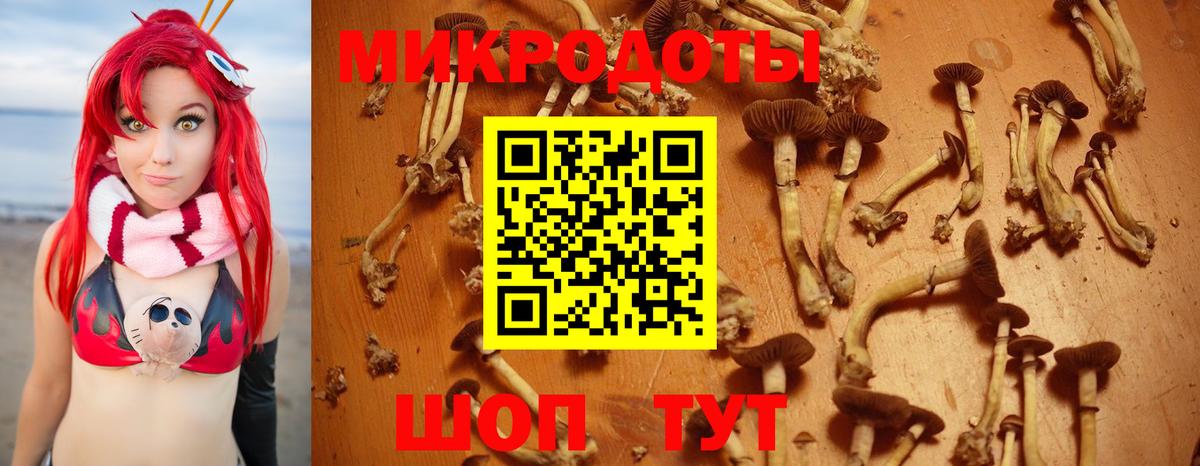 Псилоцибиновые грибы Cubensis  Псилоцибиновые грибы Psilocybe  Балтийск  Вход с VPN 