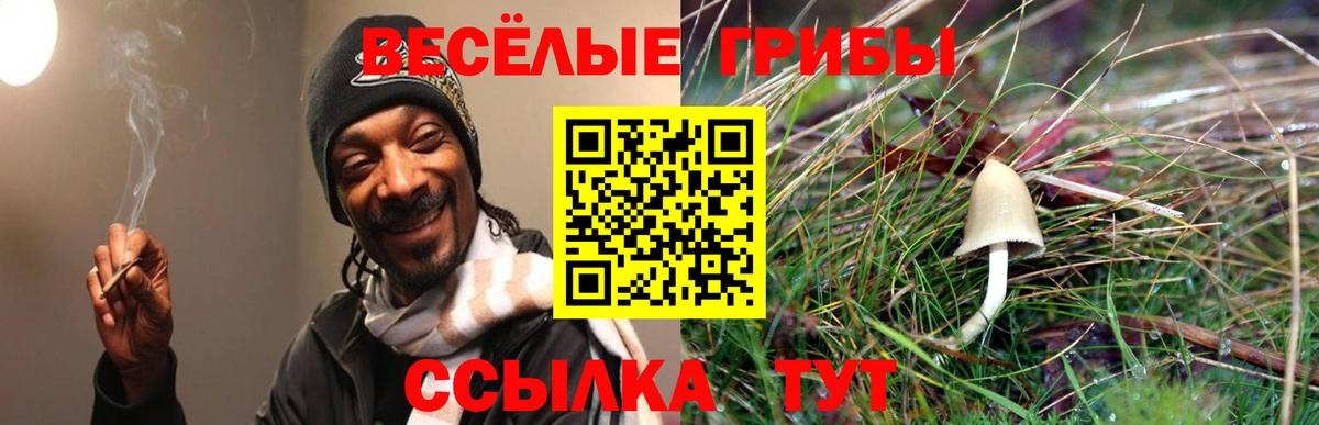 Каннабис  ГАШИШ  Cocaine  NBOMe  МЕФ  Балтийск  Канабис  Вход с VPN  Кислота 